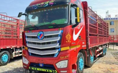 r207831-foton-auman-est-2019_1