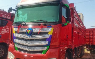 r207847-foton-auman-est-2021_1