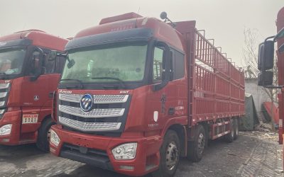 r207849-foton-auman-est-2019_1