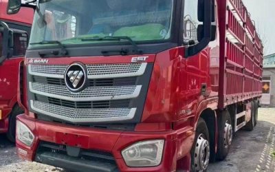 r207857-foton-auman-est-2019_1