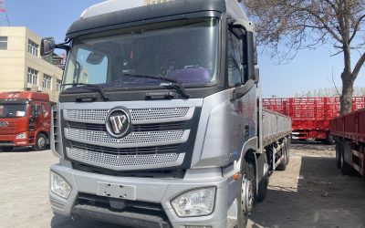 r207867-foton-auman-est-2019_1