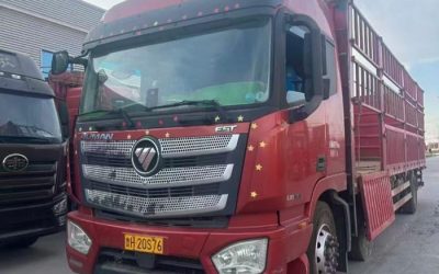 r207882-foton-auman-est-2023_1