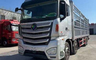 r207883-foton-auman-est-2020_1