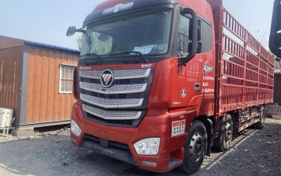 r207897-foton-auman-est-2022_1