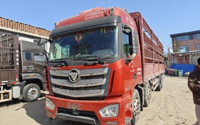 r207912-foton-auman-est-2022_1