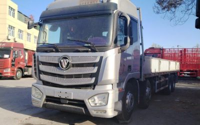 r207942-foton-auman-est-2019_1