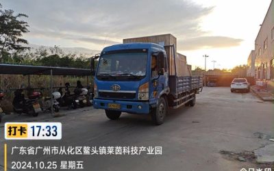 r209482-jiefang-sailong-2013_1