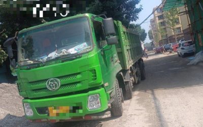 r209596-haolong-2020_1