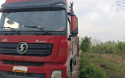 r209743-xuande-x3-2016_1