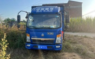 r212350-howo-king-2018_1