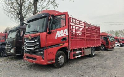 r212539-howo-max-2023_1
