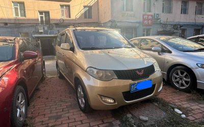 r218488-wuling-hongguang-2010_0