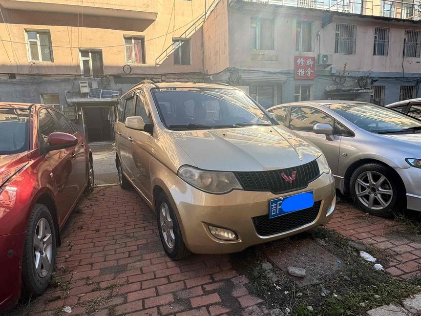 r218488-wuling-hongguang-2010_0