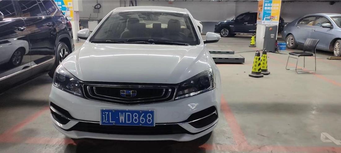 r218816-geely-binrui-2019_0