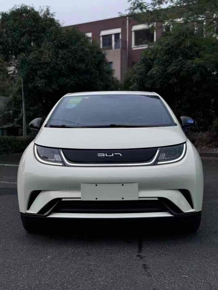 r219021-byd-dolphin-2024_0