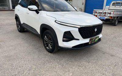 r1013586-baojun-rs-3-2020_0