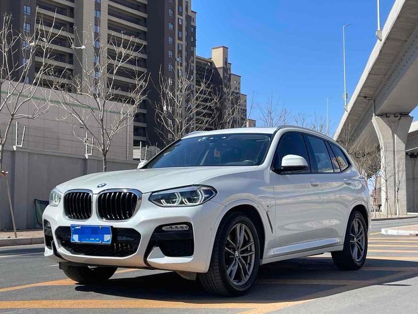 r1013694-bmw-x3-2019_0
