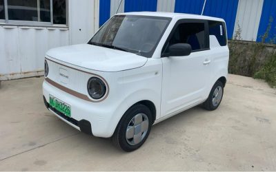 r1014226-geely-panda-2024_0