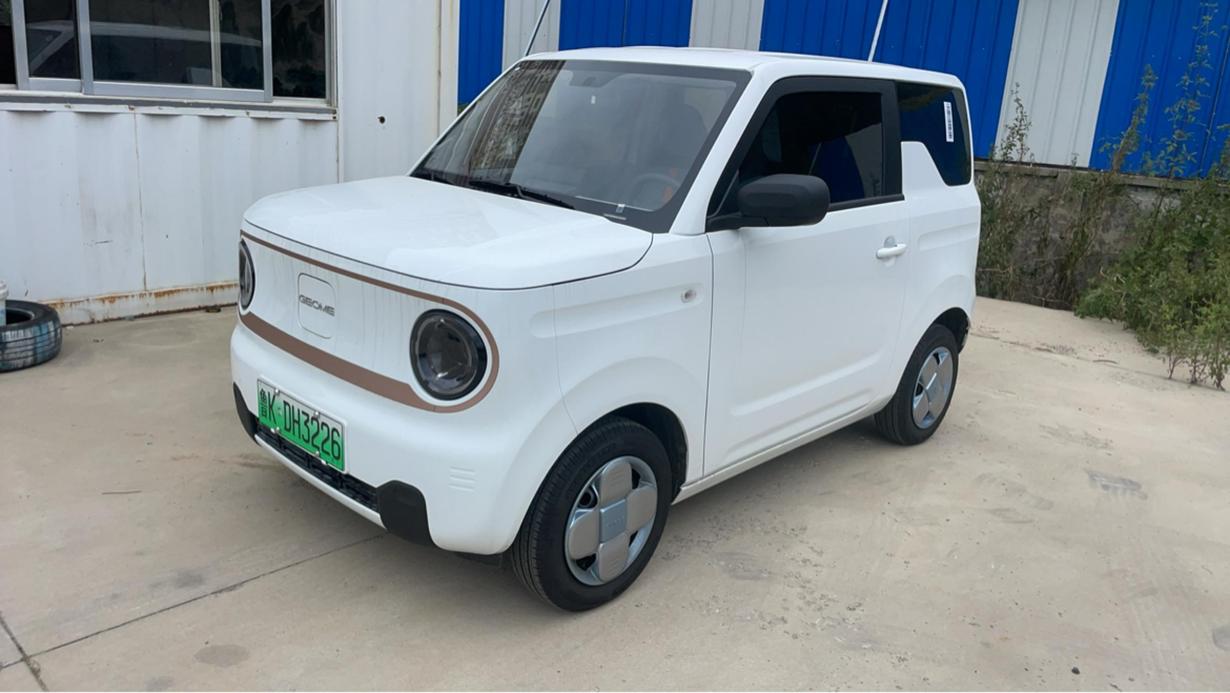 r1014226-geely-panda-2024_0