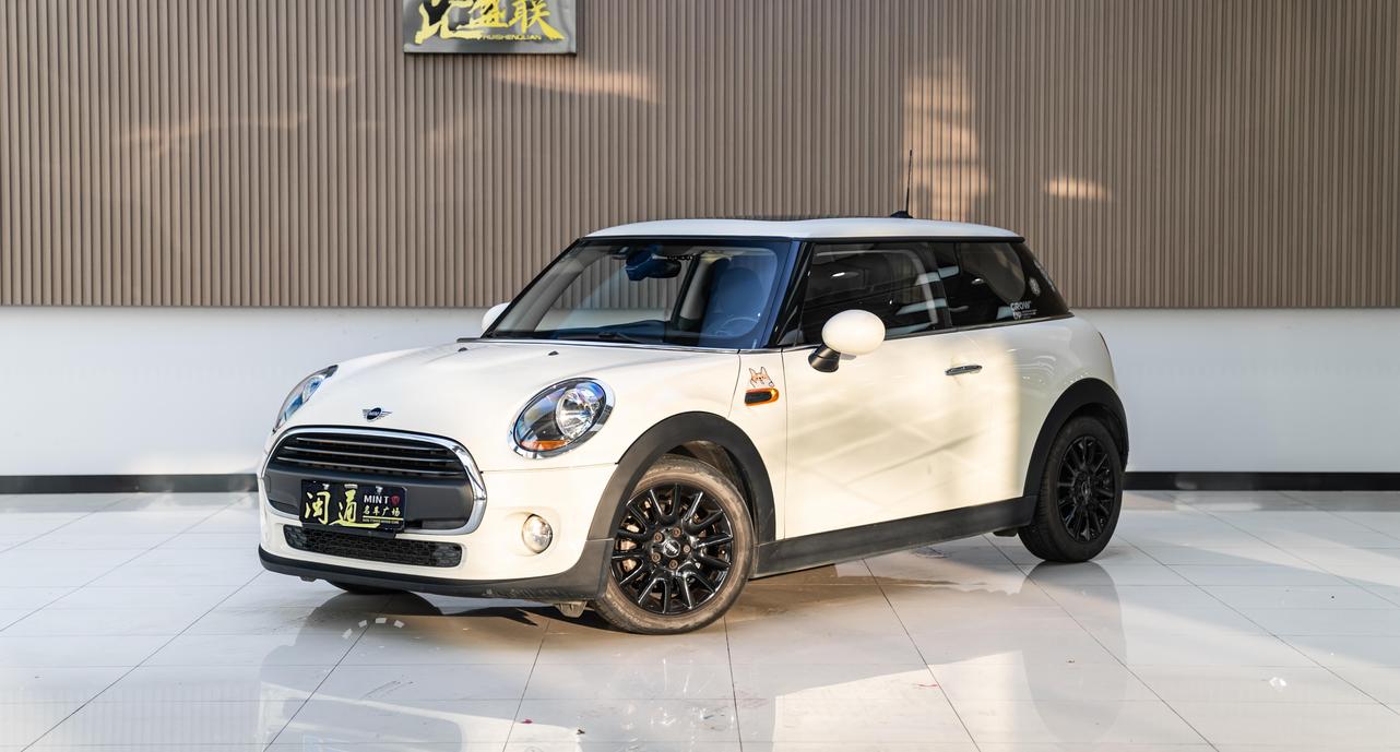 r1014232-mini-2019_0