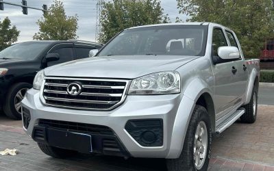 r1015447-great-wall-wingle-5-2020_0