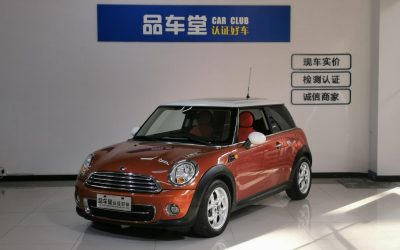 r1015507-mini-2011_0