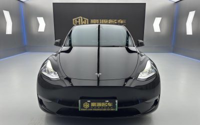 r1015534-tesla-model-y-2021_0
