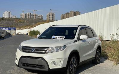 r1016313-suzuki-vitara-2017_0