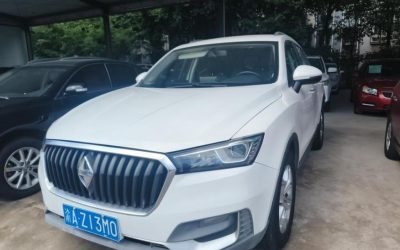 r1016457-borgward-bx5-2019_0