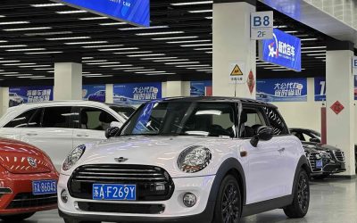 r1016482-mini-2016_0