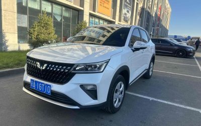 r1016575-wuling-xingchi-2023_0