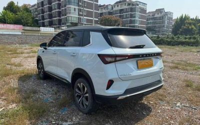 r1016603-wuling-xingguang-2022_0