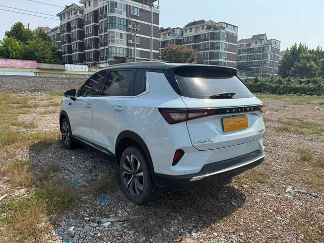 r1016603-wuling-xingguang-2022_0