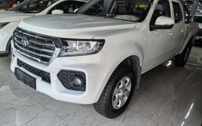 r1016608-great-wall-wingle-7-2020_0