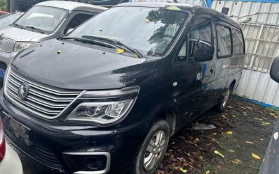 r1016653-dongfeng-forthing-lingzhi-2021_0
