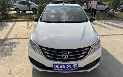 r1016788-baojun-310-2020_0