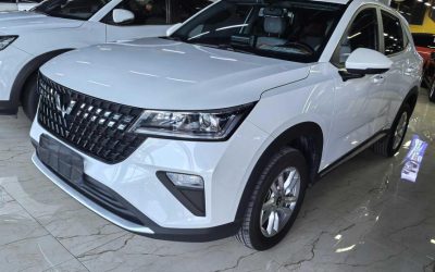 r1016816-wuling-xingchi-2023_0