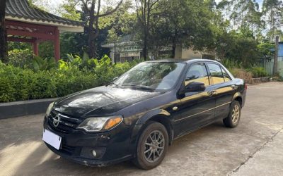 r1016948-haima-happin-2012_0