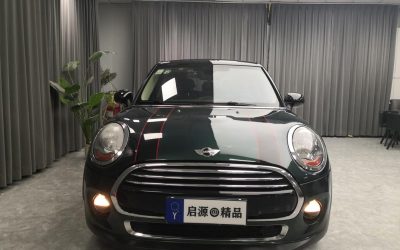 r1016969-mini-2016_0