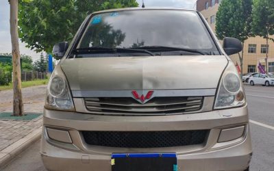 r1017029-wuling-sunshine-2016_0