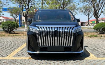 r1017145-wey-gaoshan-2024_0