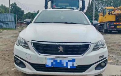 r1017156-peugeot-301-2019_0