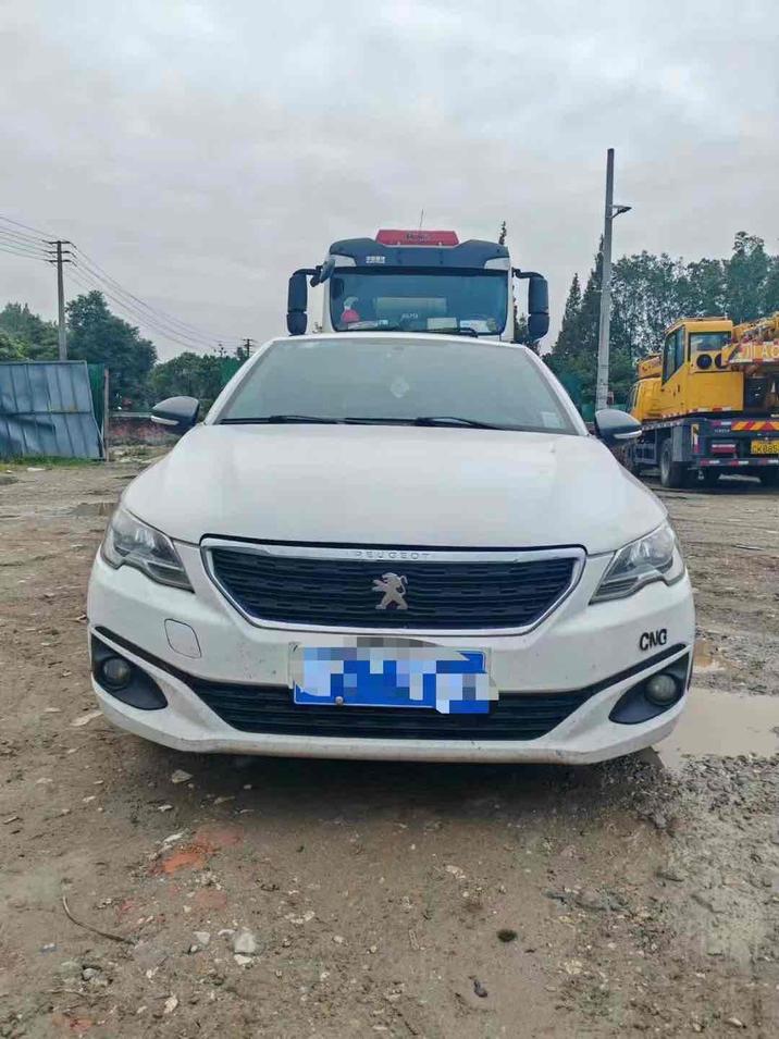 r1017156-peugeot-301-2019_0