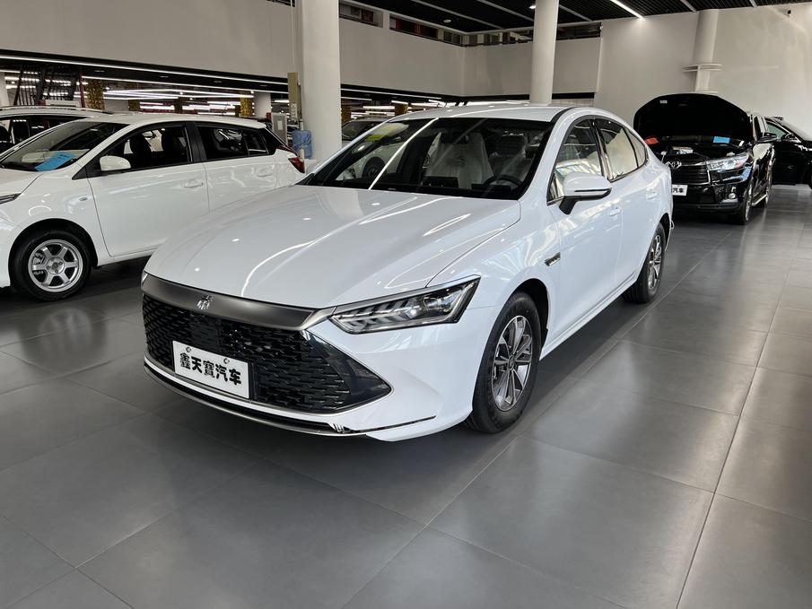 r1017273-byd-qin-plus-2024_0