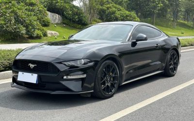 r1017505-ford-mustang-2019_0