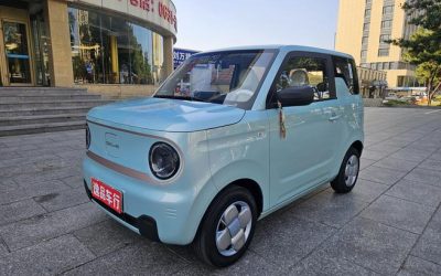 r1017660-geely-panda-2024_0