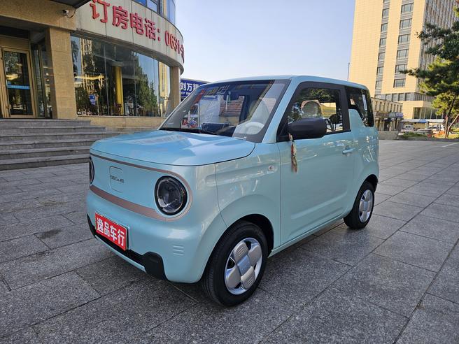 r1017660-geely-panda-2024_0