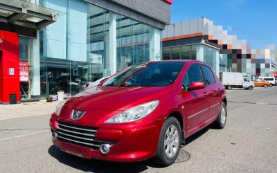 r1017738-peugeot-307-2012_0
