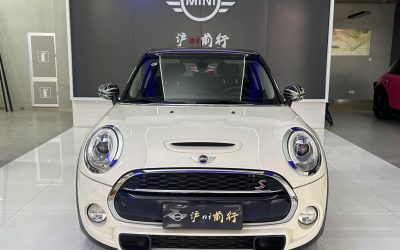 r1018276-mini-2017_0