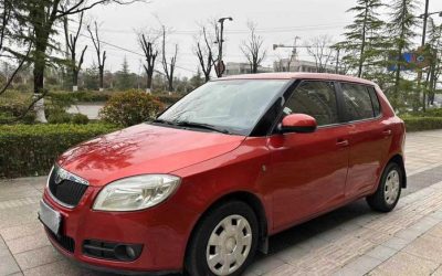 r1018546-skoda-fabia-2010_0